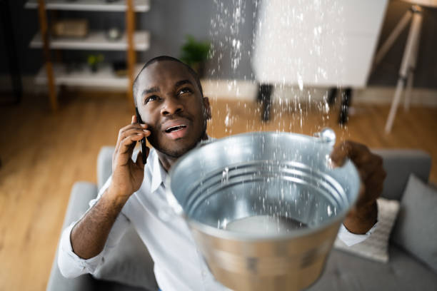 Best Mold removal after water damage  in Punaluu, HI
