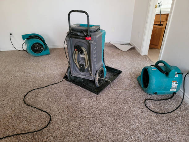 Best Commercial water damage restoration  in Punaluu, HI