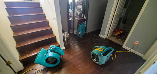 Best Residential water damage restoration  in Punaluu, HI