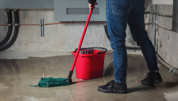 Best Residential water damage restoration  in Punaluu, HI