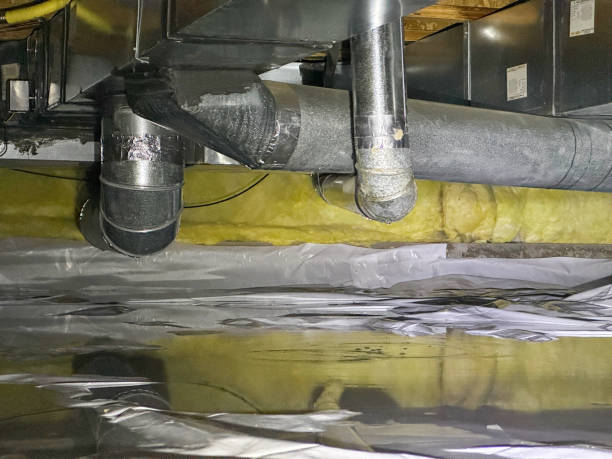 Best Basement water damage restoration  in Punaluu, HI