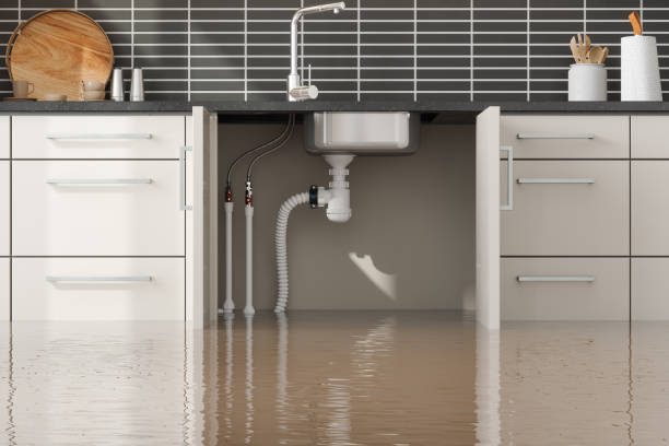 Best Local water damage restoration  in Punaluu, HI