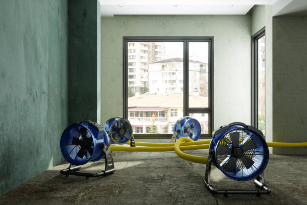 Best Water damage restoration near me  in Punaluu, HI