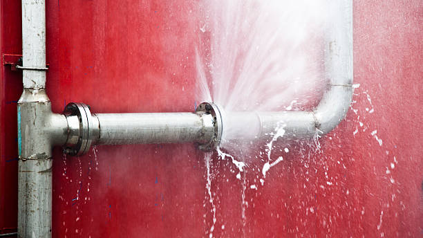 Best Local water damage restoration  in Punaluu, HI