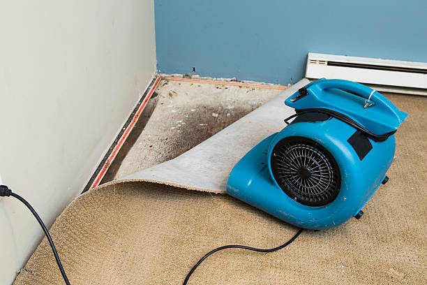 Best Water damage restoration near me  in Punaluu, HI
